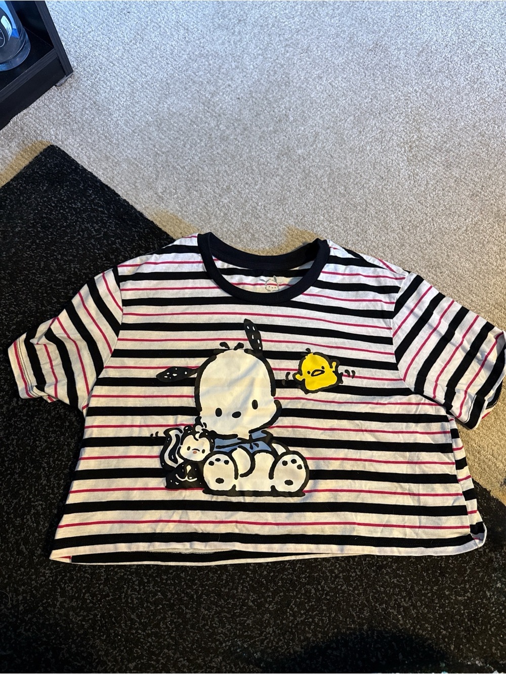 Sanrio Pochacco Striped Short Sleeve Tee in White, Black & Pink